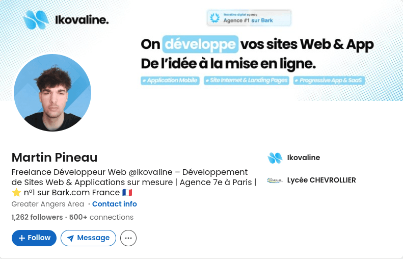 Profil LinkedIn professionnel